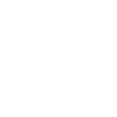 github logo